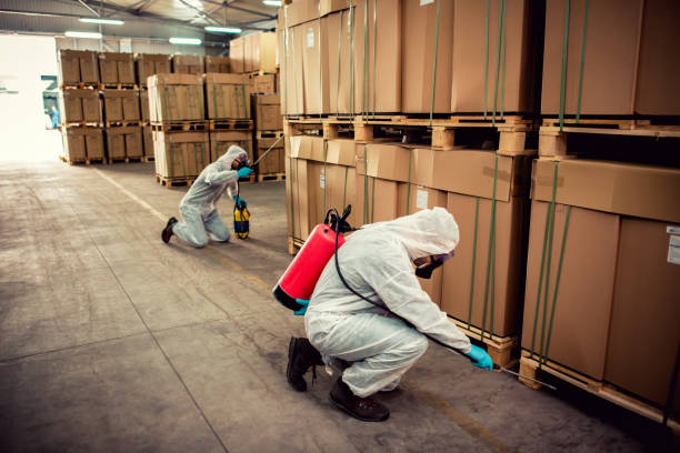 Best Local Pest Control Services  in Darlington, SC