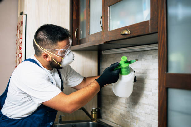 Best Insect Control  in Darlington, SC