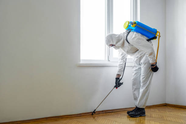 Best Best Pest Control Companies  in Darlington, SC