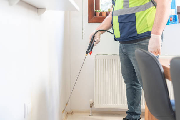 Best Wasp Removal Services  in Darlington, SC