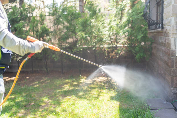 Best Emergency Pest Control  in Darlington, SC
