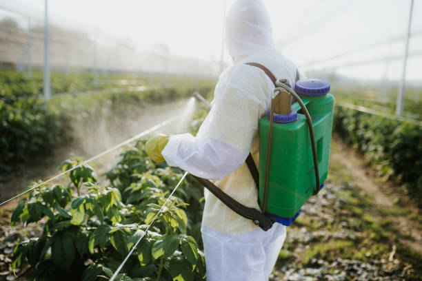 Best Local Pest Control Services  in Darlington, SC